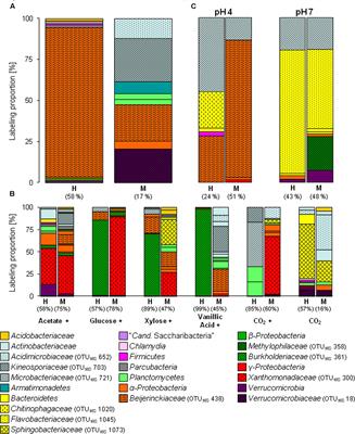 Acidotolerant Bacteria and Fungi as a Sink of Methanol-Derived Carbon in a Deciduous Forest Soil